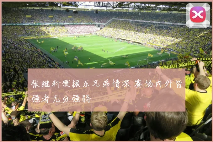 张继科樊振东兄弟情深 赛场内外皆强者无分强弱