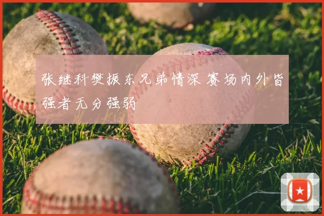 张继科樊振东兄弟情深 赛场内外皆强者无分强弱